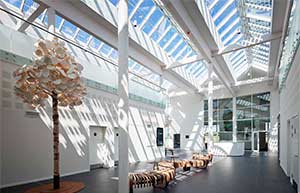 Skylights in Green Solutions House