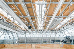 Grillodur special construction rooflight