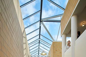 VELUX Glazing panels